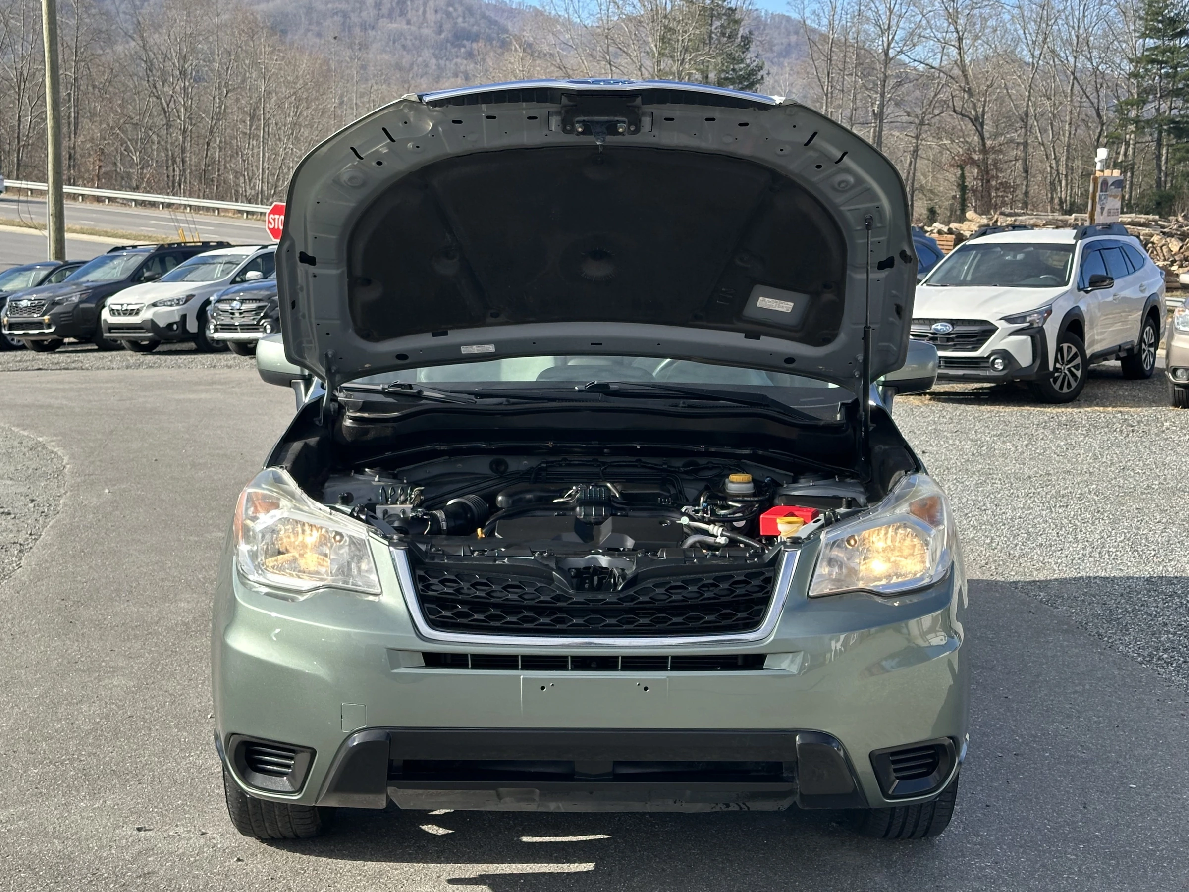 2015 Subaru Forester Premium Manual — photo 18